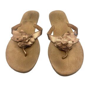 Sonoma Life Style flip flops sandles size 9-10 brown gold 10.75" long 4" READ